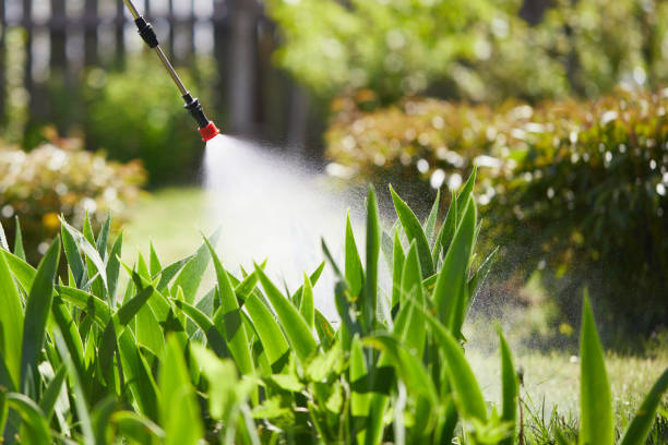 Tamper-Resistant Bait Stations for Rodents in Mount Healthy