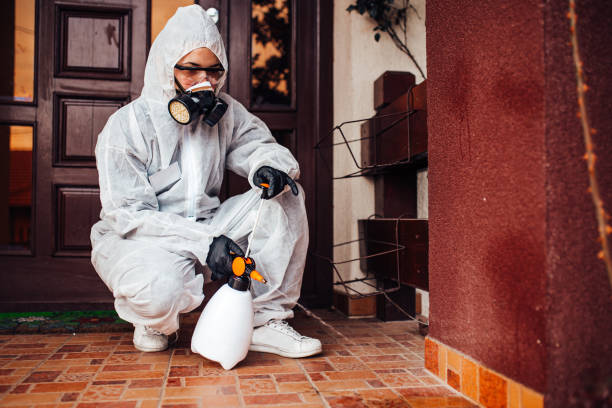 Attic and Crawl Space Rodent Treatment in Mount Healthy