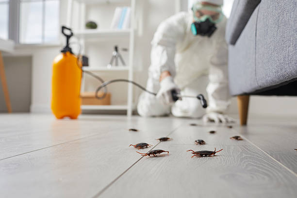 Commercial Rodent Management in Mount Healthy